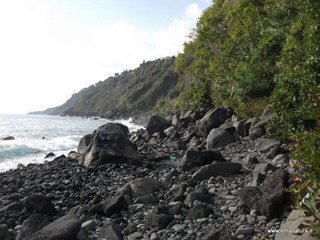 uccio-13-11-2012 09-22-47